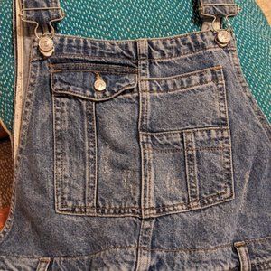 Free People Baggy Boyfriend Distressed Denim Overalls  Womens Size 28